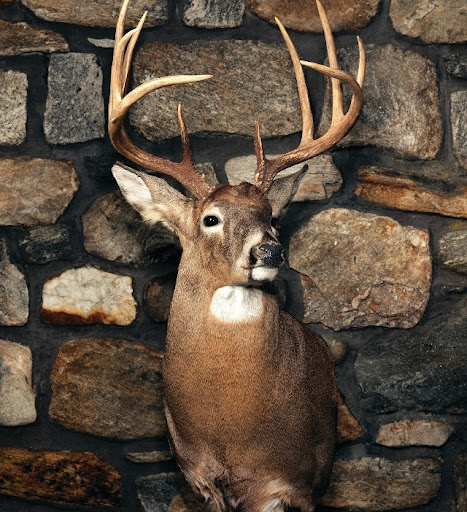 Andrew Gomez Photo 20