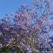 Kathy Herrington Photo 18
