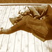 Chris Doolittle Photo 14