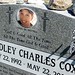 Bradley Tracy Photo 8