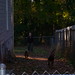 Heather Cooper Photo 49