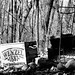 Eric Wenzel Photo 19