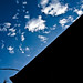 Mark Stastny Photo 11