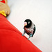 Kelly Vogel Photo 10
