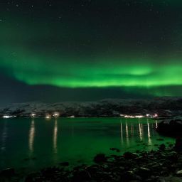 Tim Weiss Photo 35