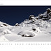 Vijay Sood Photo 26