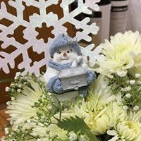 Marie Wolf Photo 16