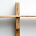Jason Burton Photo 23