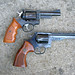 Dan Wesson Photo 9
