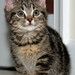 Wilma Browning Photo 8
