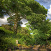 Mark Slate Photo 14