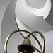 Andrew Cohn Photo 14