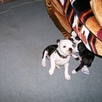 Debbie Rossiter Photo 4