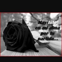 Clara Herrera Photo 24