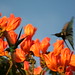 Linda Conway Photo 15