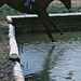 Angela Olney Photo 8