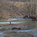Virginia Enlow Photo 5