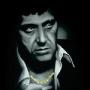 Jose Torrez Photo 16
