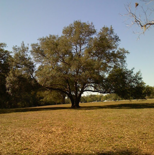 Timothy Sullivan Photo 62