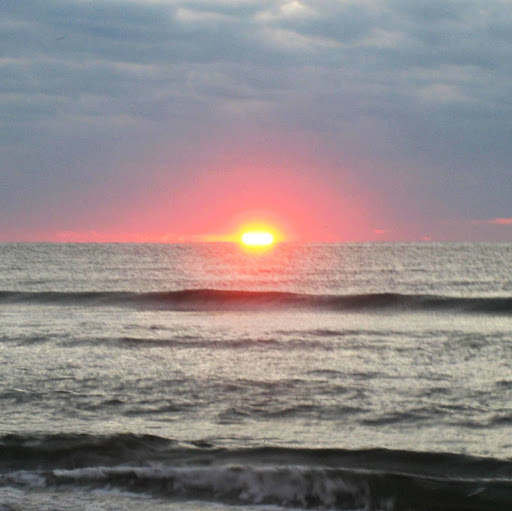Lisa Orr Photo 42