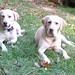 Georgia Hunter Photo 30