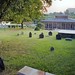 Samuel Randolph Photo 11