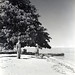 Anne Curran Photo 20