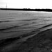 Daniel Mackey Photo 14