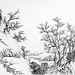 Sung Chang Photo 33