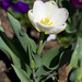 James Christon Photo 12