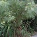 Robyn Gordon Photo 33