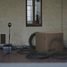 Michele Basso Photo 15