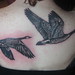 Edwin Mendez Photo 12