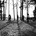 Joseph Kling Photo 12
