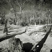 Daniel Holcomb Photo 10
