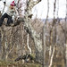 Sarah Burke Photo 29