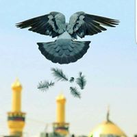 Syed Kazmi Photo 23