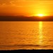 Debra Havens Photo 5