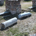 Felix Roman Photo 13