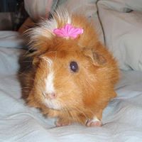 Lucy Bunch Photo 2