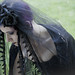 Vivian Edwards Photo 3