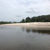 Pamela Mccrary Photo 8