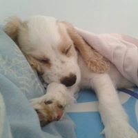 Doris Dorris Photo 3