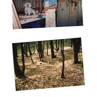 Patrick Simms Photo 10