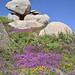Heather Cote Photo 34