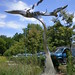 Michael Wind Photo 15