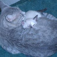 Christine Childers Photo 26
