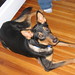 Colleen Walter Photo 18