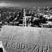 Joe Goodwin Photo 1
