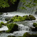 James Trout Photo 26